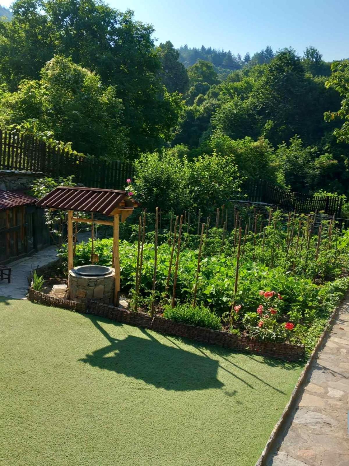 Hotel Тодорината Къща Lešten Exteriér fotografie